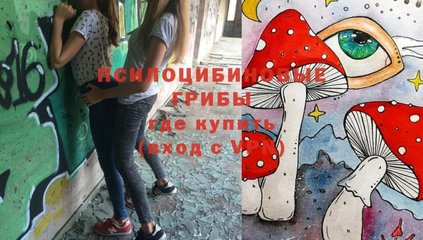мет Белокуриха