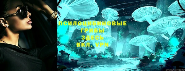 мет Белокуриха