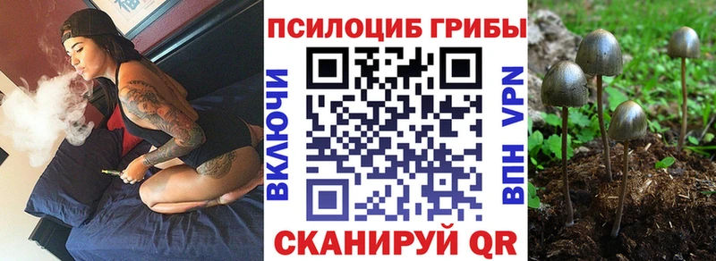 Псилоцибиновые грибы ЛСД  Купить закладки  Кимовск 